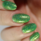 Bryophyte Me