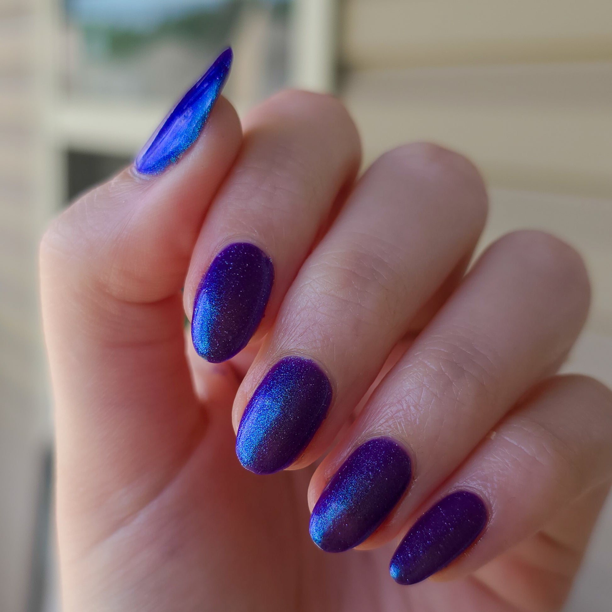 Midnight Bluebonnet