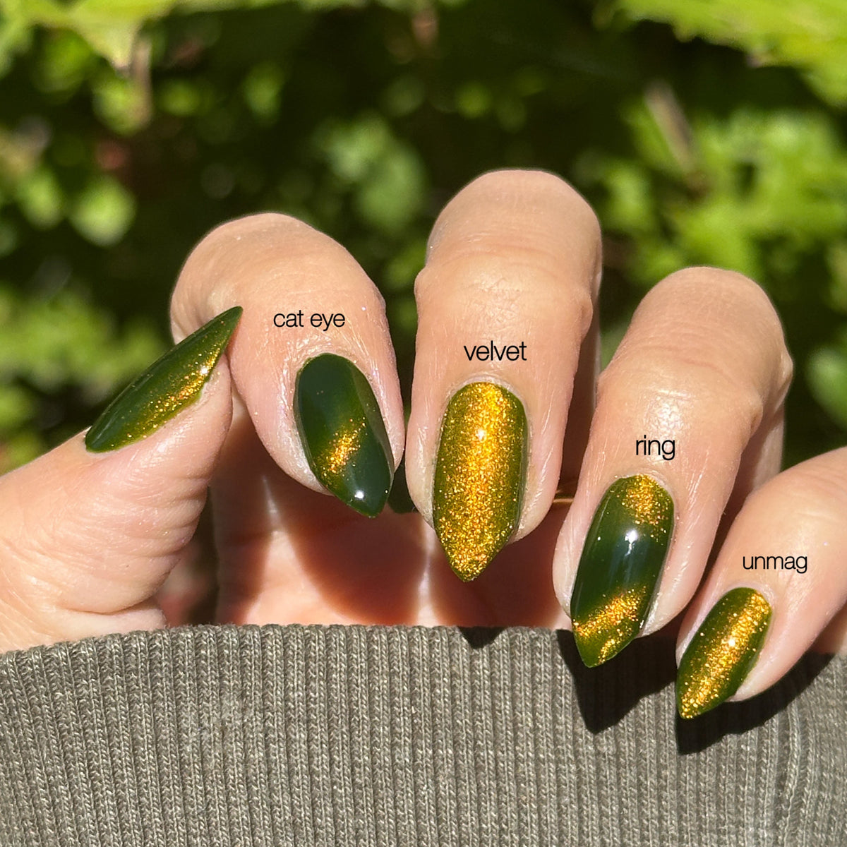 Twisted Elm